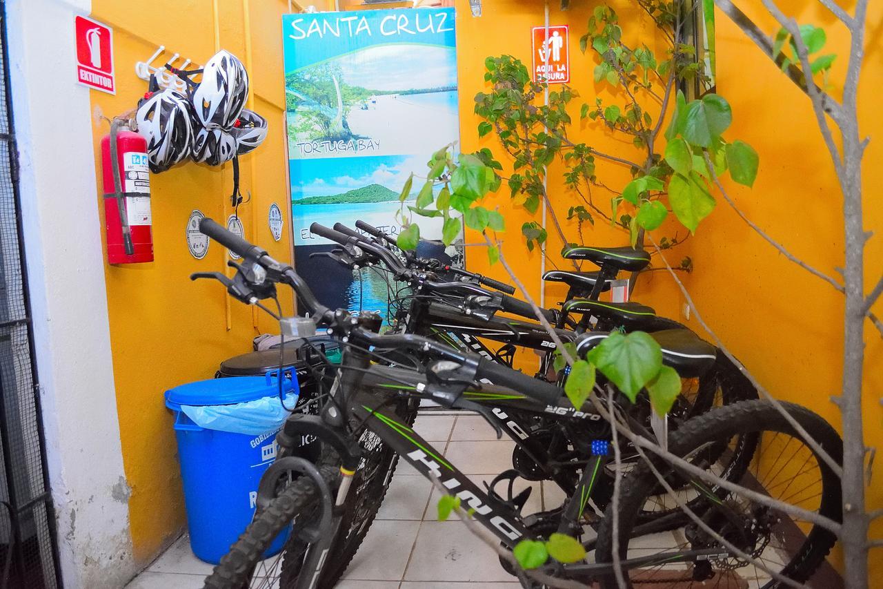 Tintorera Guest House Пуерто Айора Екстериор снимка